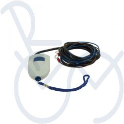 Battery theft alarm system