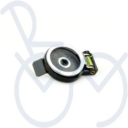 Tailgate for loading tree